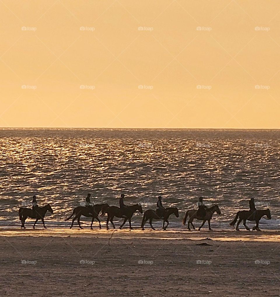 Horses on Deauville beach