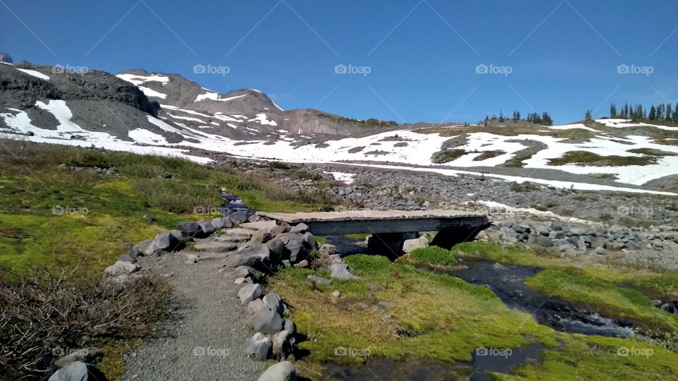 Bridge over mountain stream. Mt. Rainier, WA June 2015