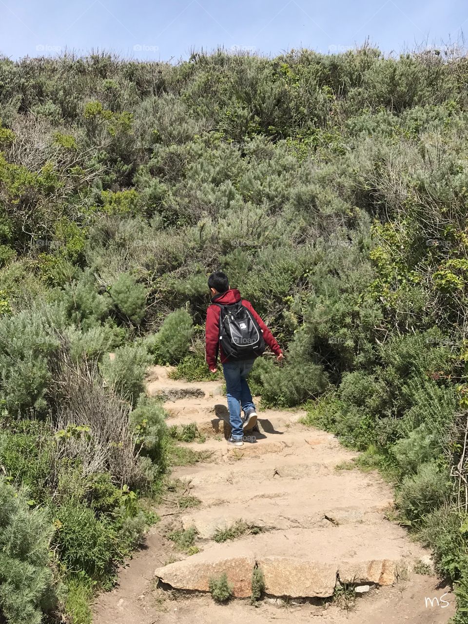 Boy meets nature out in Point Lobos State Reserve in the Monterey Bay (CA). Perfect day for hiking around a wonderful jewel of nature. He’s 12, and he loved it. #NoFilters