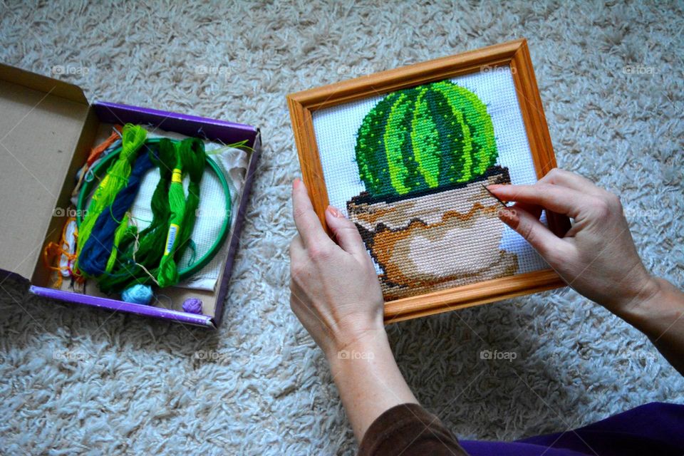 cross stitch cactus in the female hand hobbies