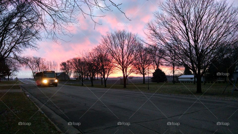 Tree, Road, Landscape, Dawn, Fall