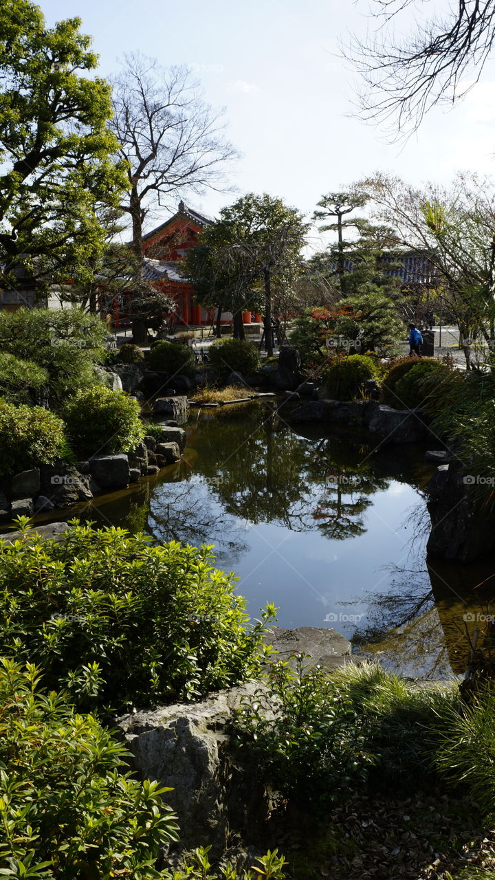 Traditional Japanese pond outside the Sanjusanen-do temple in Kyoto, Japan.