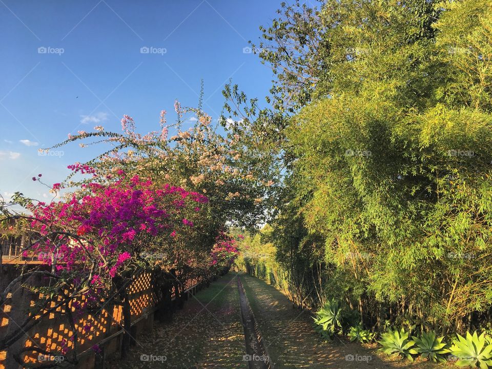 🧠 #Desestressando em #clicks!
📸 #Fotografia é nosso #hobby, pois há a necessidade de “men sana in corpore sano”.
#️⃣ 
#sol #sun #sky #céu #natureza #horizonte #paisagem #inspiração #mobgrafia #XôStress