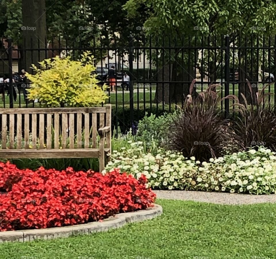 A Beautiful Landscaped Garden