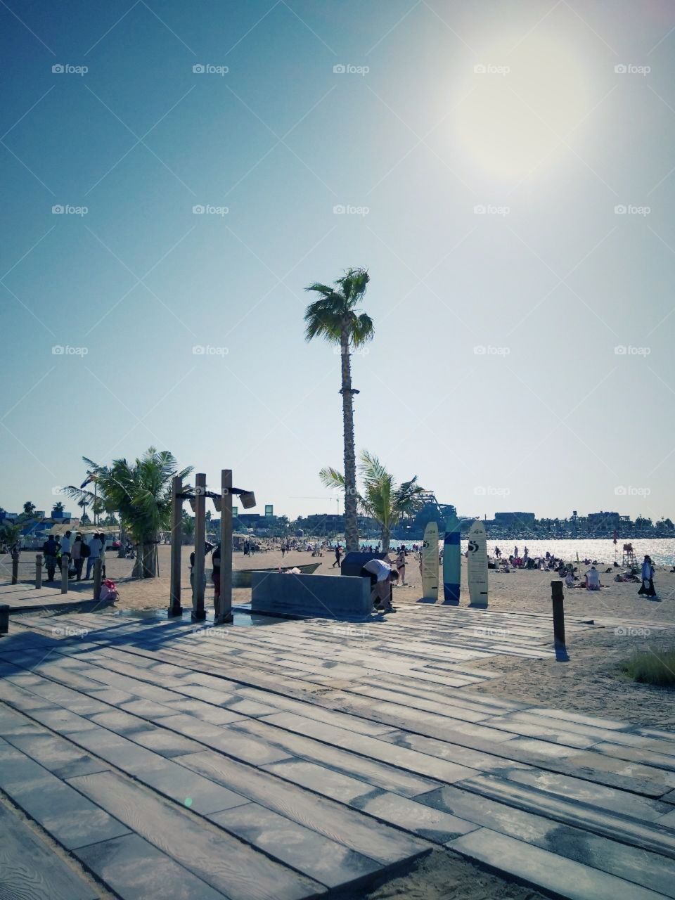 sun, beach, sky, palm