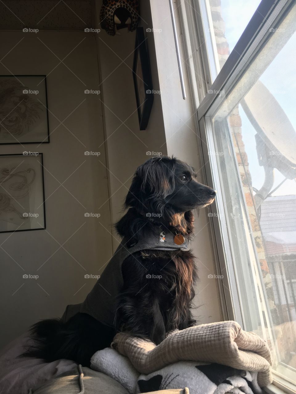 Watching the world go by 