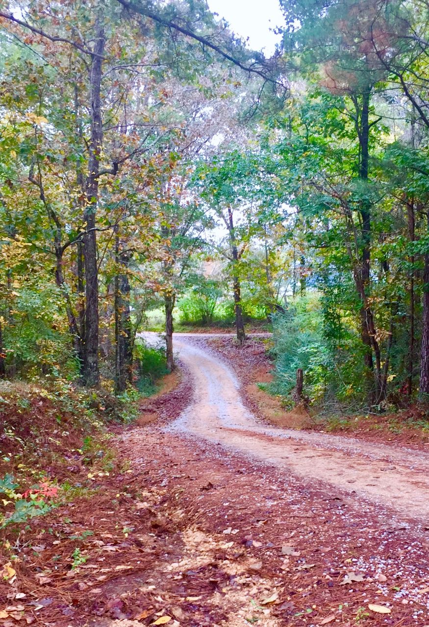 Hidden country dirt road after a cool rain. So peaceful.