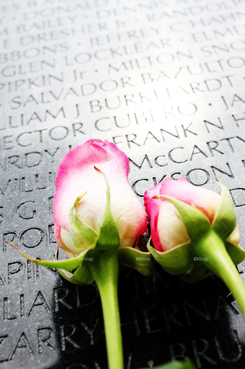 Vietnam memorial 