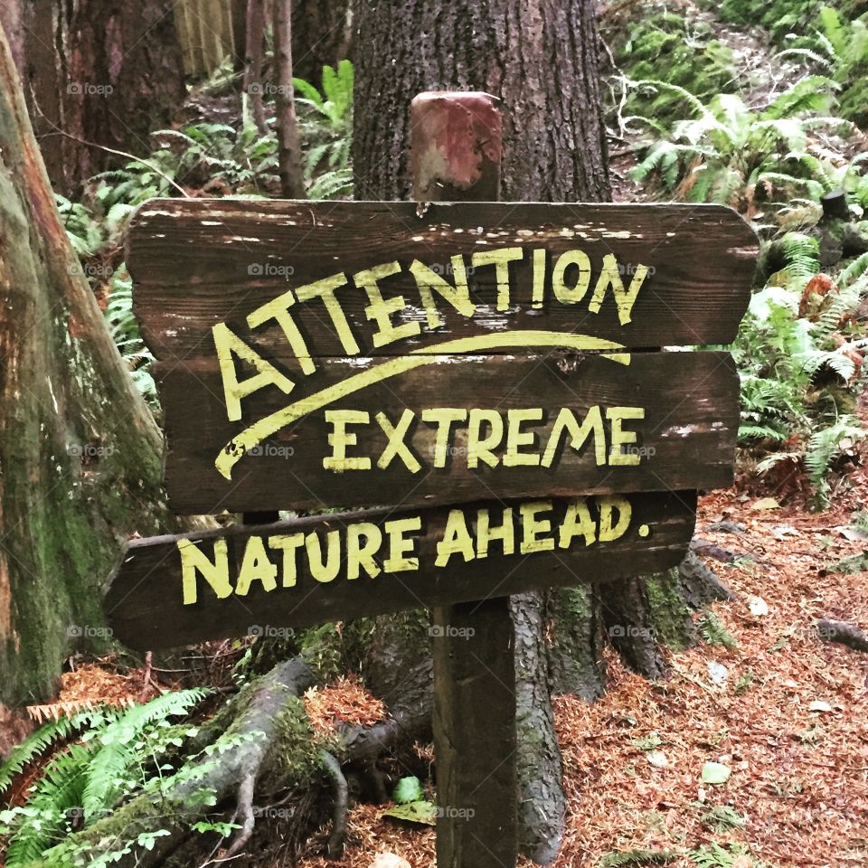 Extreme Nature Ahead