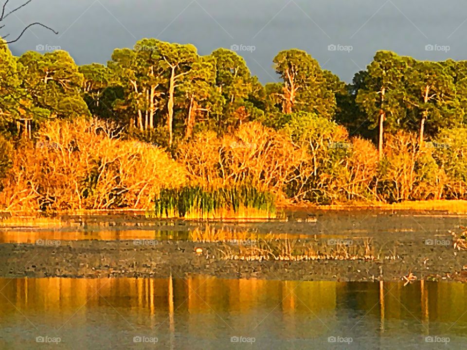 Colorful Autumn leaves on the trees reflecting on the pond.