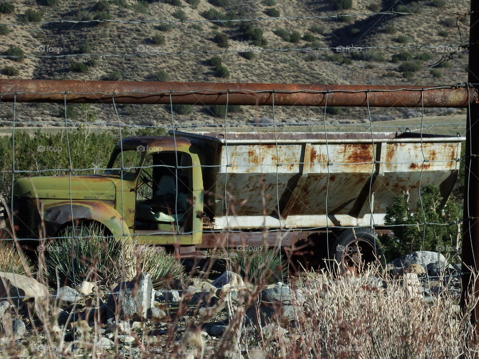 Rusted green truck in the field.