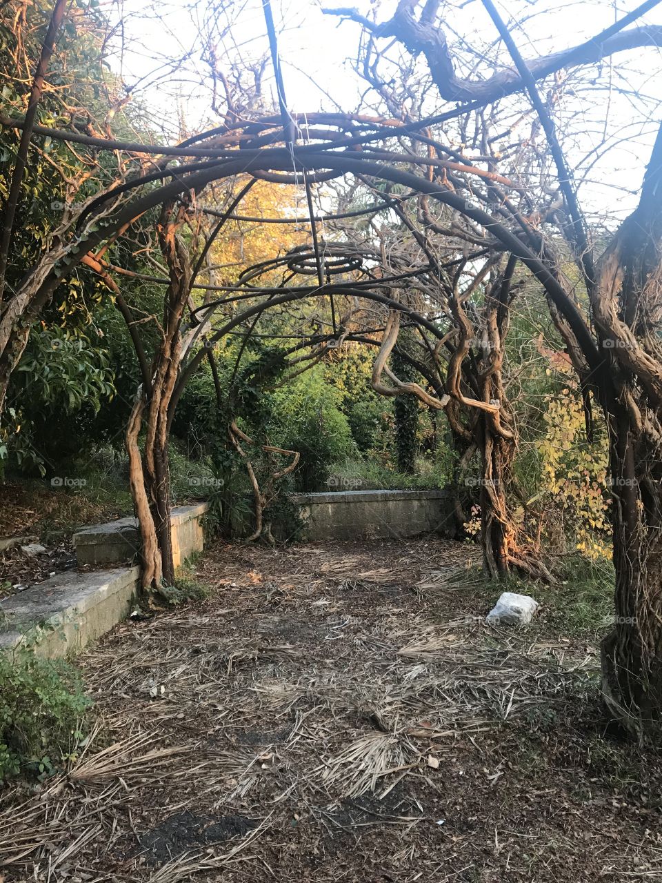 Санаторий Орджоникидзе Сочи 