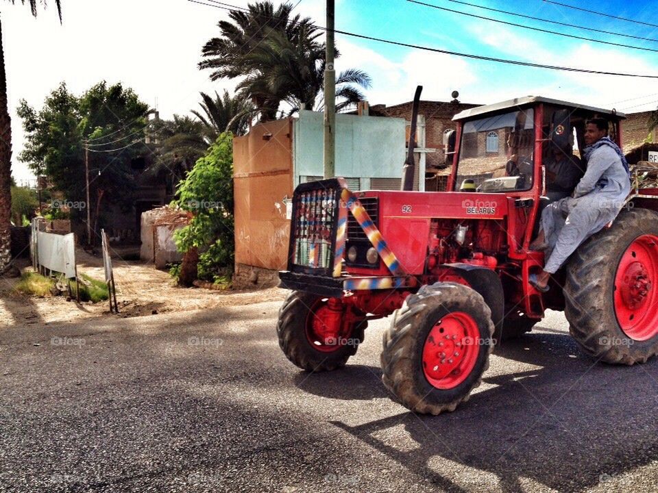 Tractor in Luxor