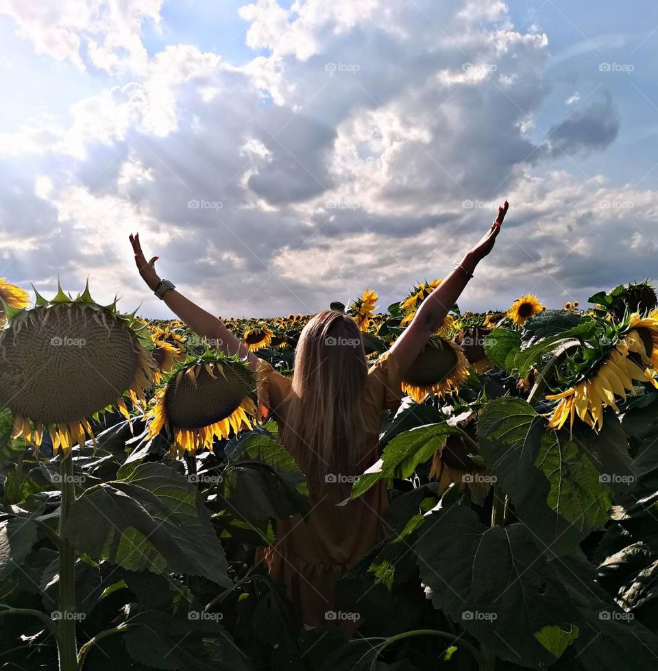 Жизнь прекрасна