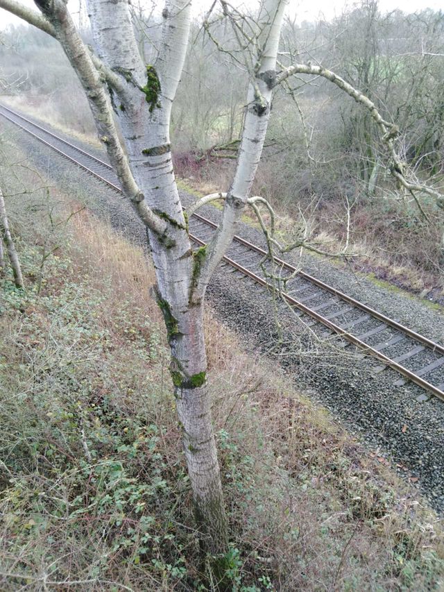 Railway