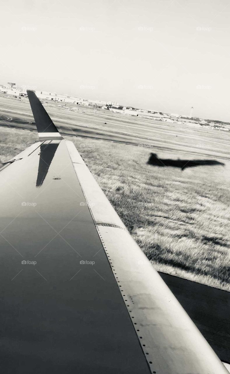 taking off, flight, black and white, B&W