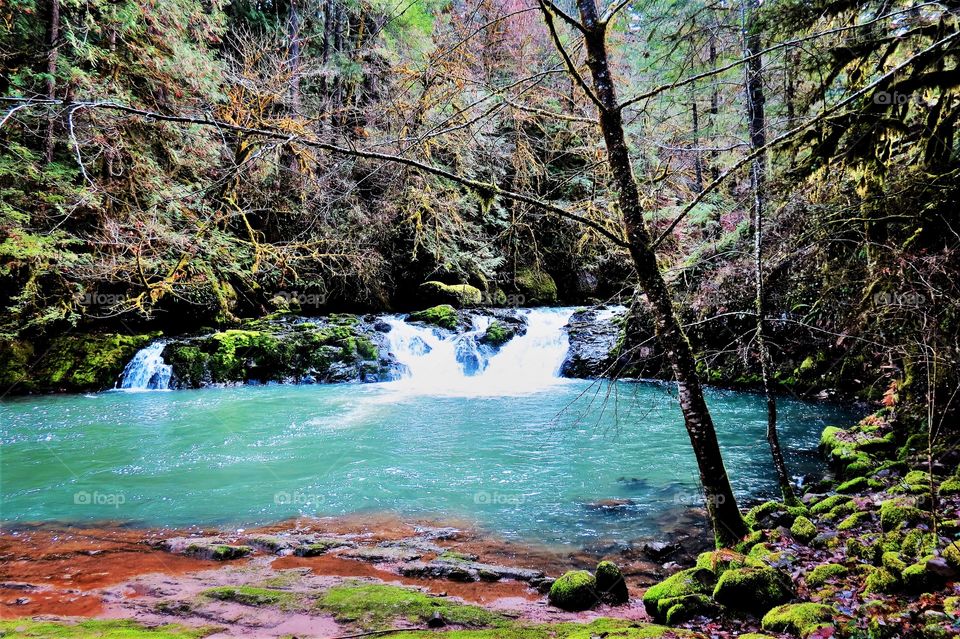 Beautiful Cavitt Creek Falls Running Waters. 
