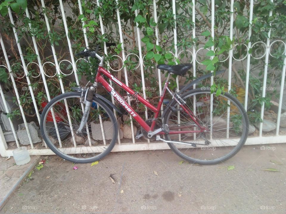 Beautiful red bicycle.