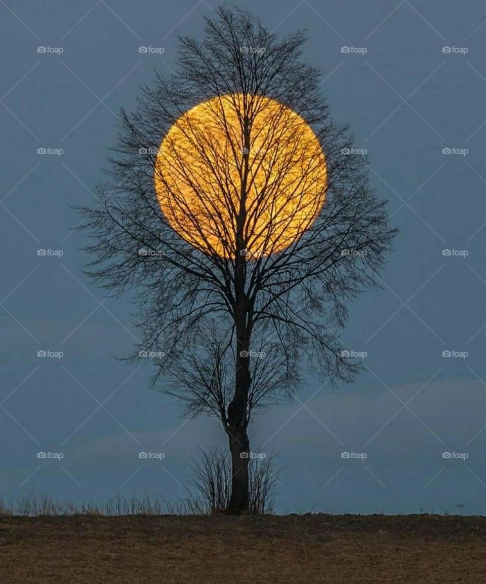 You are the only one who always catches my heart.