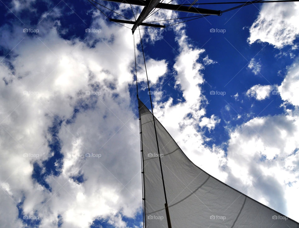 White sail in contrajure