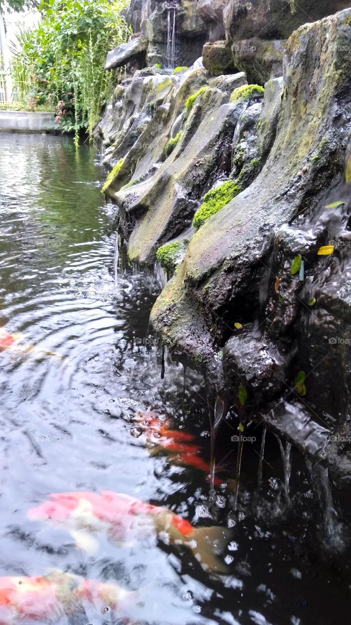 Beautiful waterfall on the park