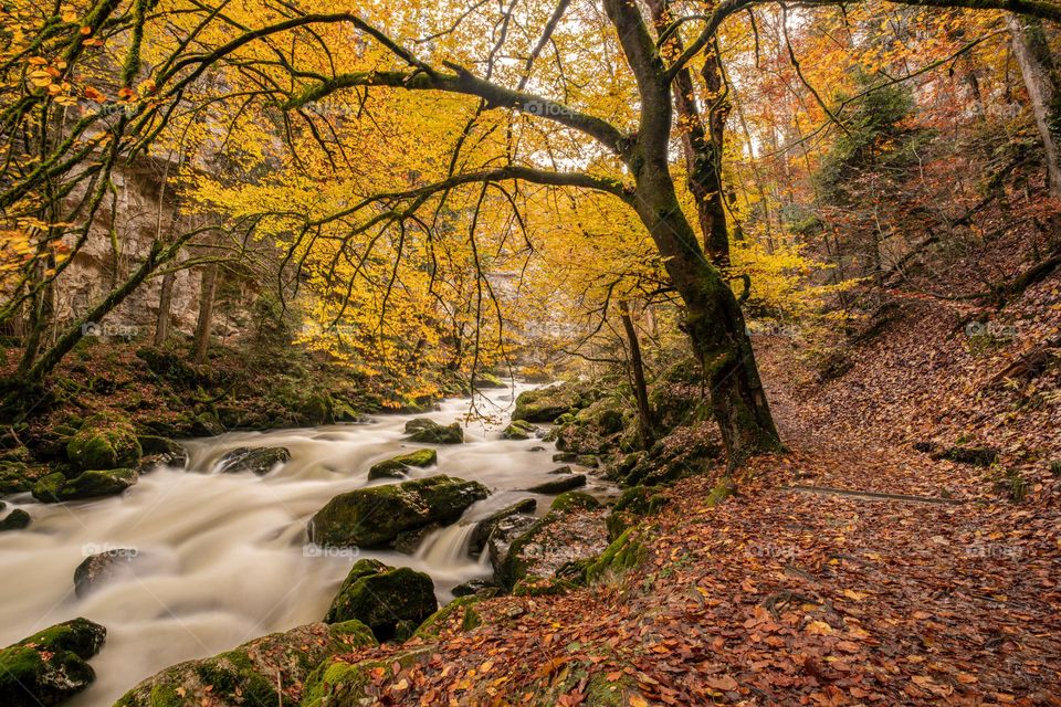 A river in switzerland in the fall with beautiful colors