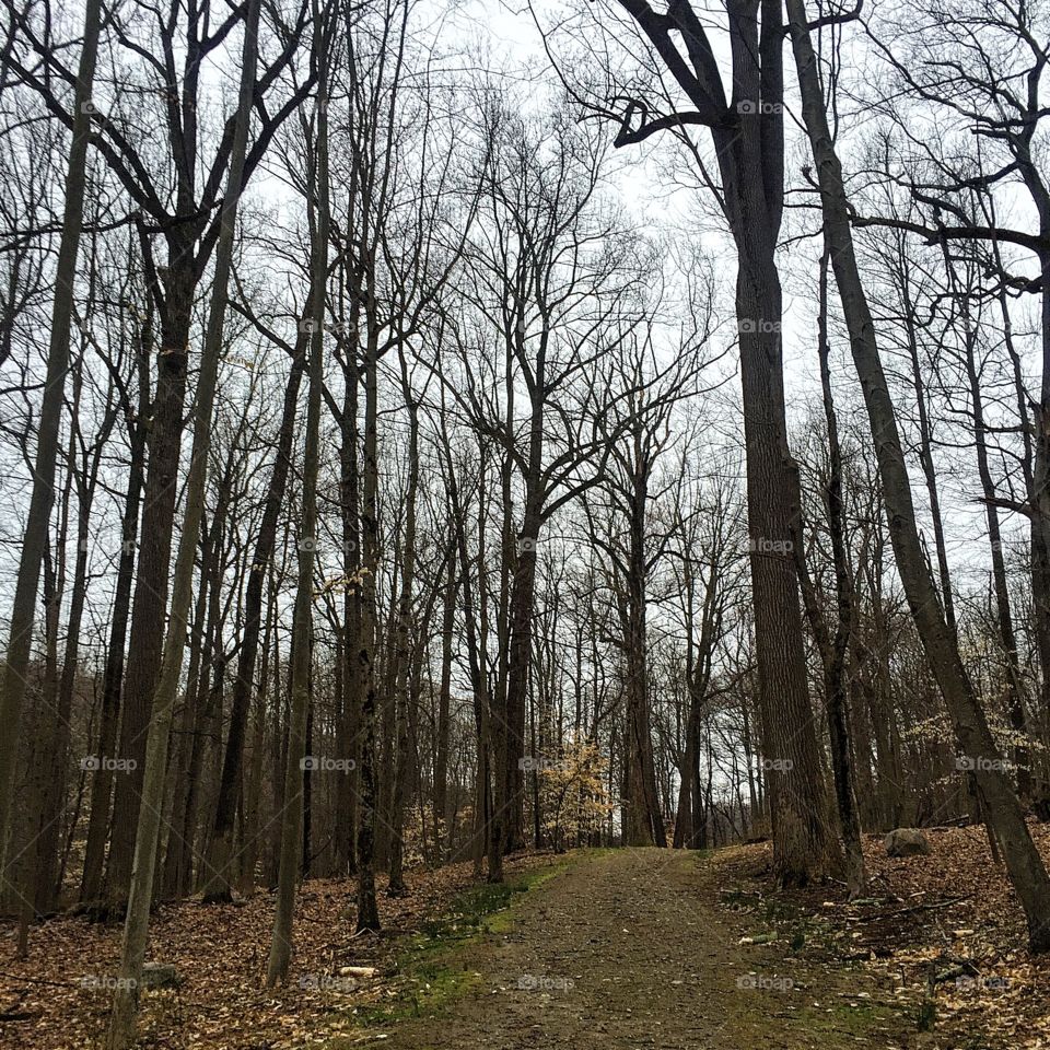 "Go confidently in the direction of your dreams. As you simplify life the laws of the universe will be simpler." Henry David Thoreau 