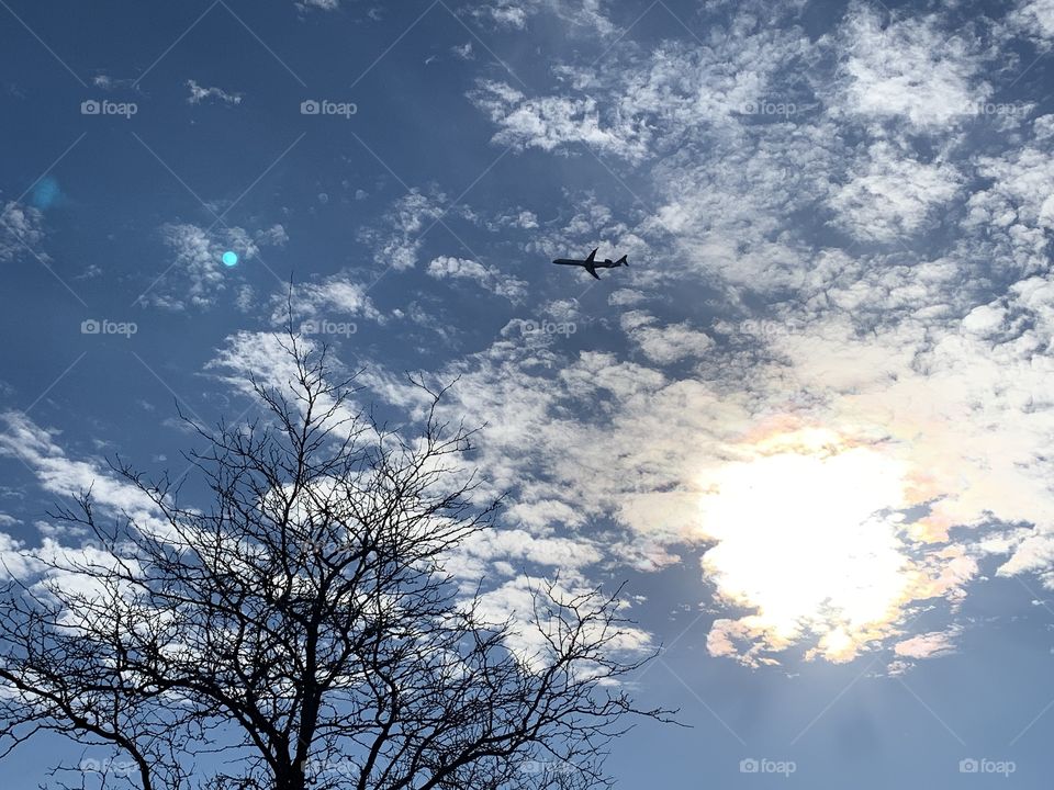 What a great sunny day for a trip across the great blue sky. The clouds are there to ease the way. 