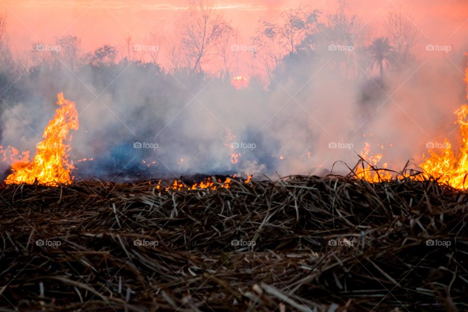 fire and sunset scene