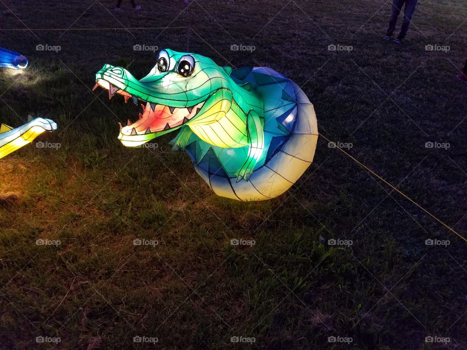 light lantern festival for the Chinese new year. Gator egg.