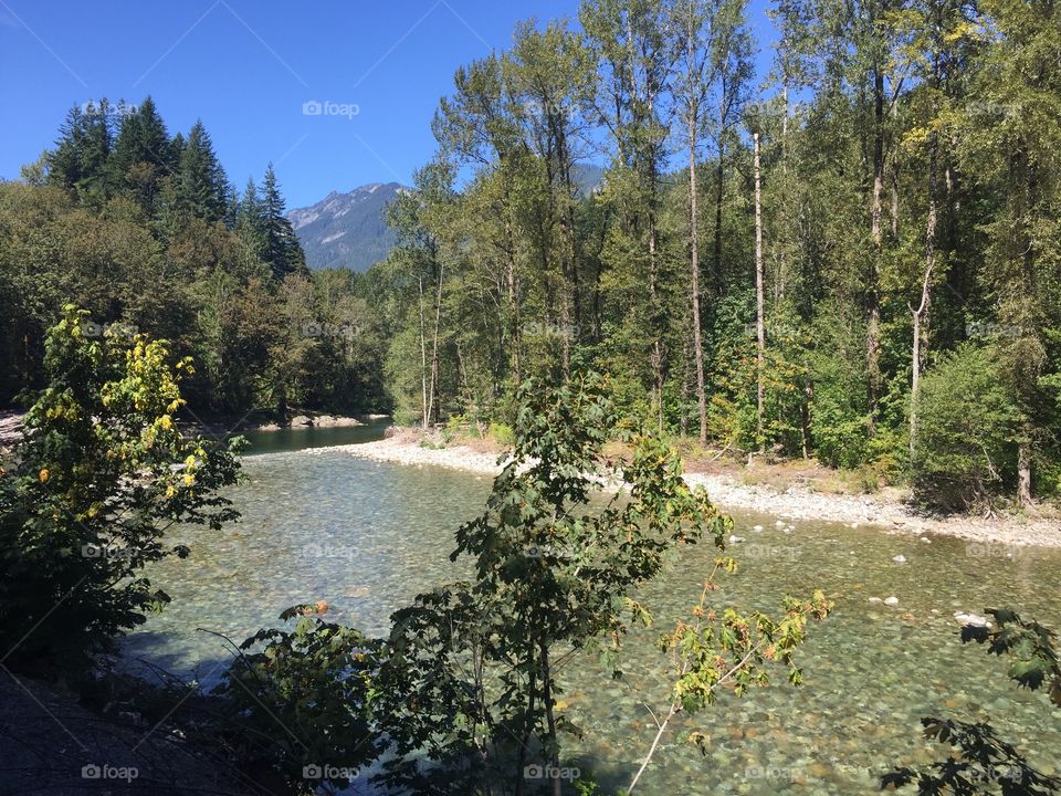 Water, Tree, No Person, Nature, River