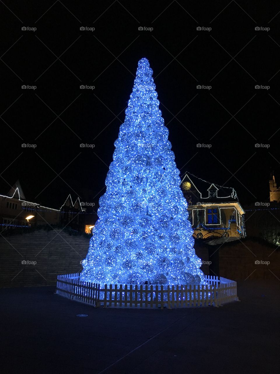 Cold blue Christmas Tree, Peterborough 