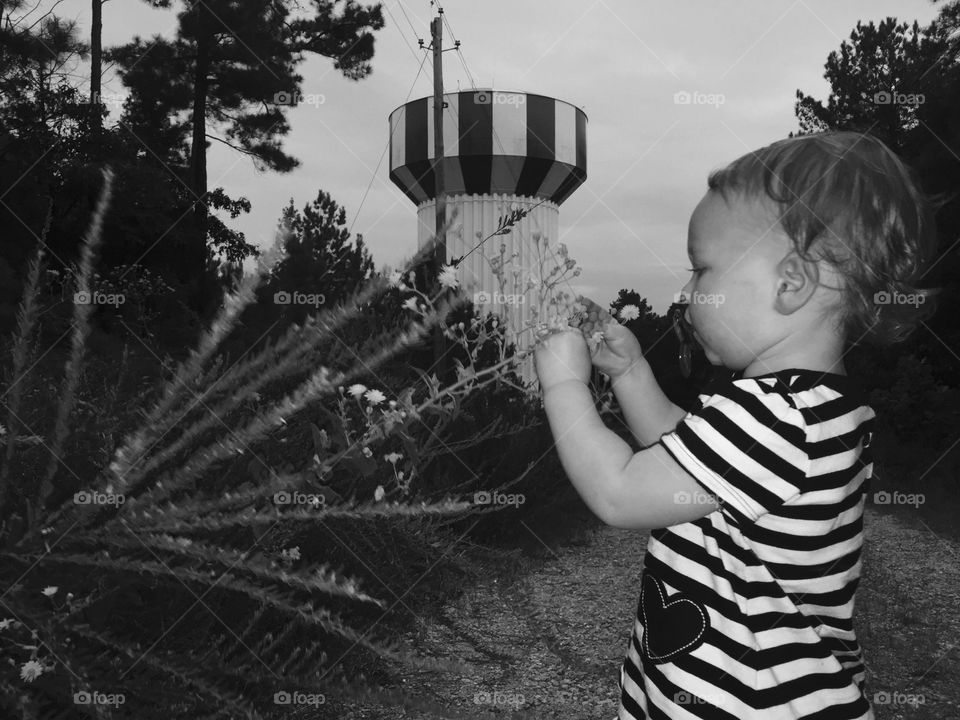 Flowers in your hands. I was walking in the woods with my dees when this shot happened that juxtaposed her stripes with the Oxford water tower