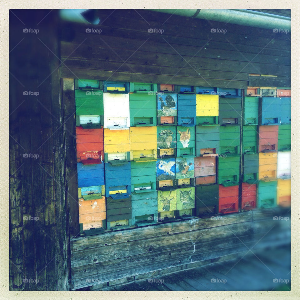 No Person, Business, Logistics, Commerce, Container