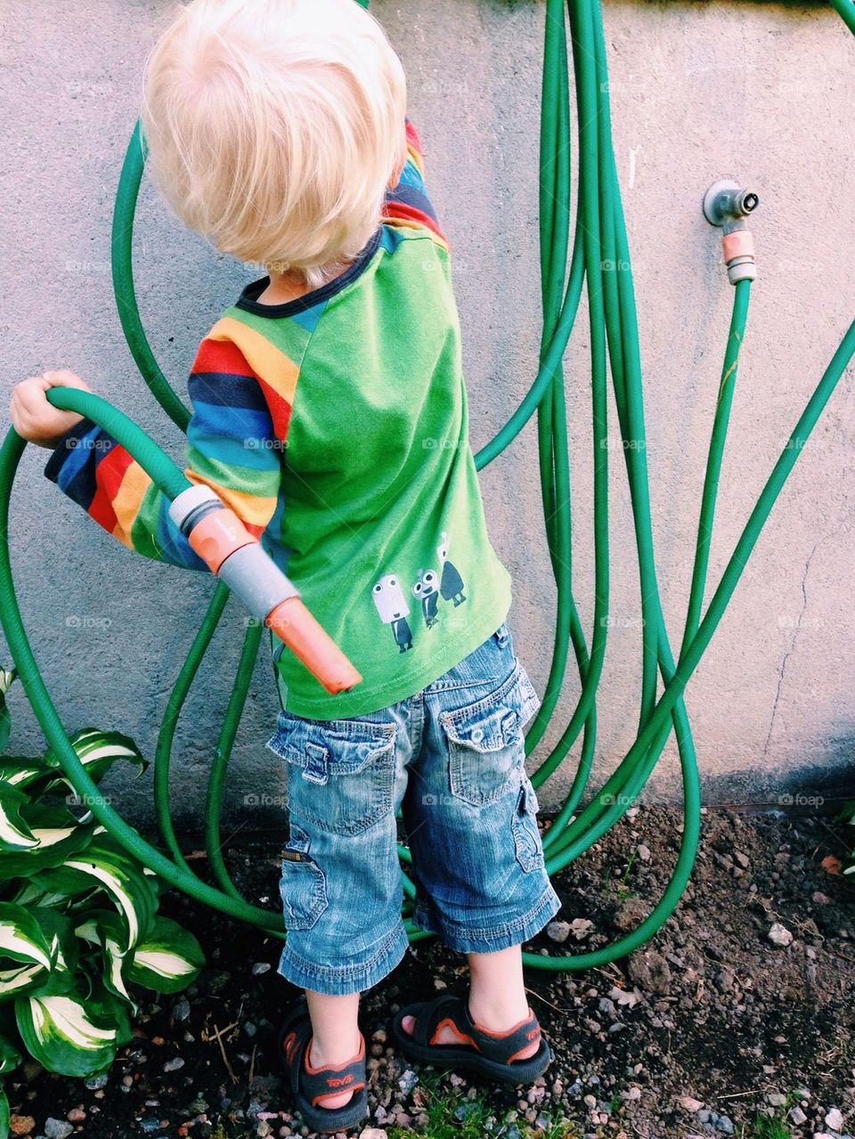 Water hose