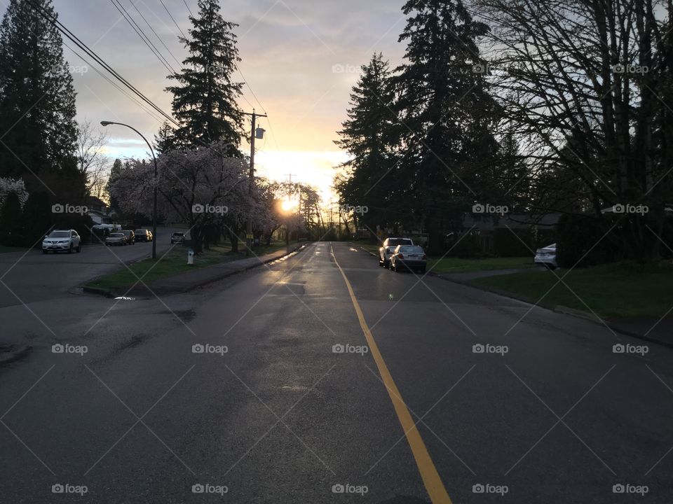 Road into the Sunset 