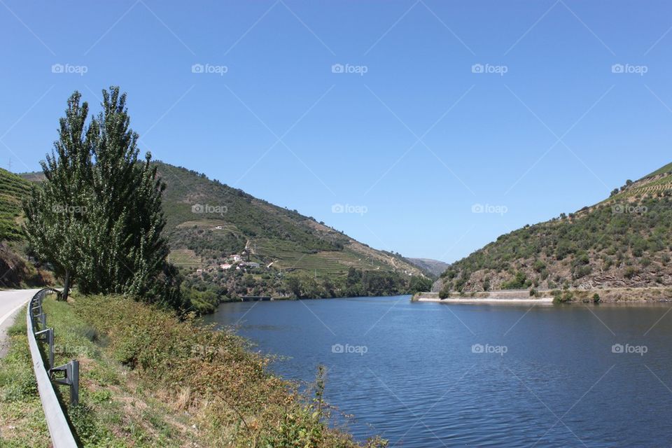 Douro area 