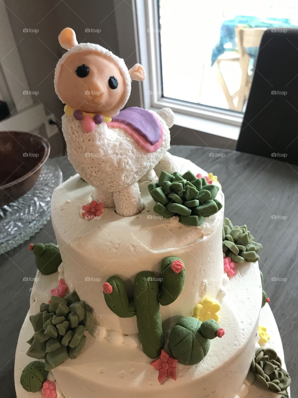 Llama Fondant Cake Topper and Succulent Cake