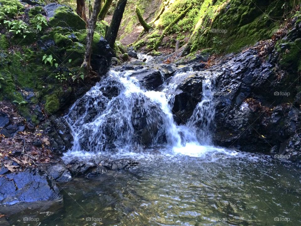 Granuja Falls at Uvas Canyon County Park in CA