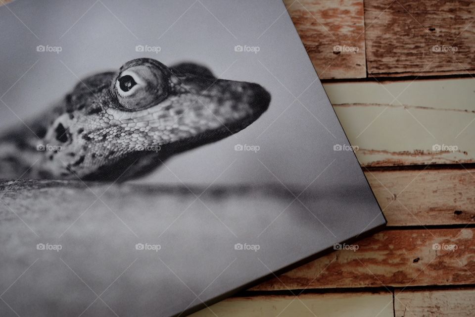 Putting photos onto canvas, canvas prints, making canvas prints from home, stay at home art, black and white canvas, staying at home and creating art, fun creative art projects, art projects with photography