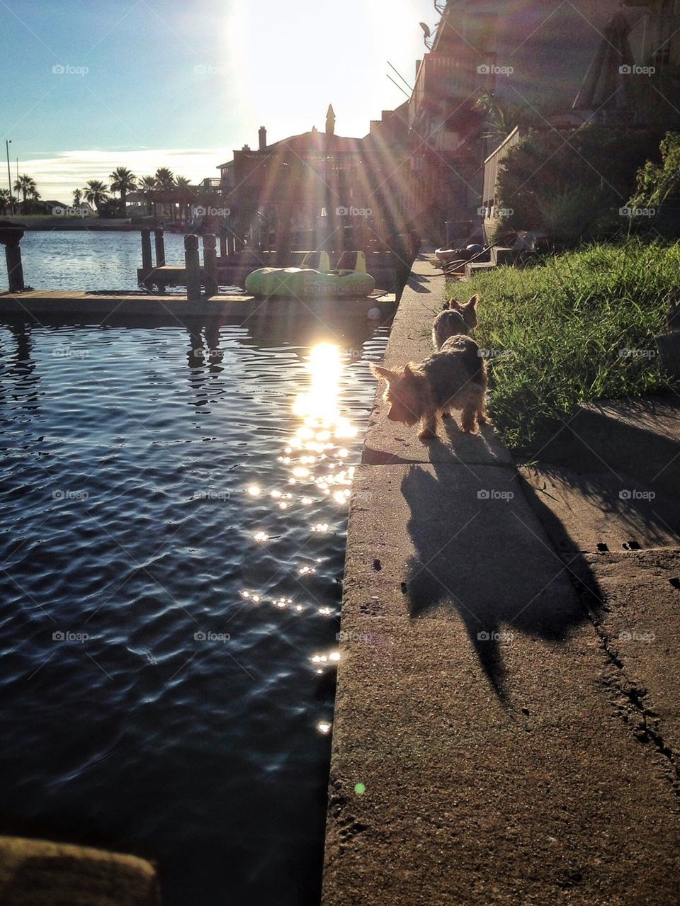 Checking out the new house