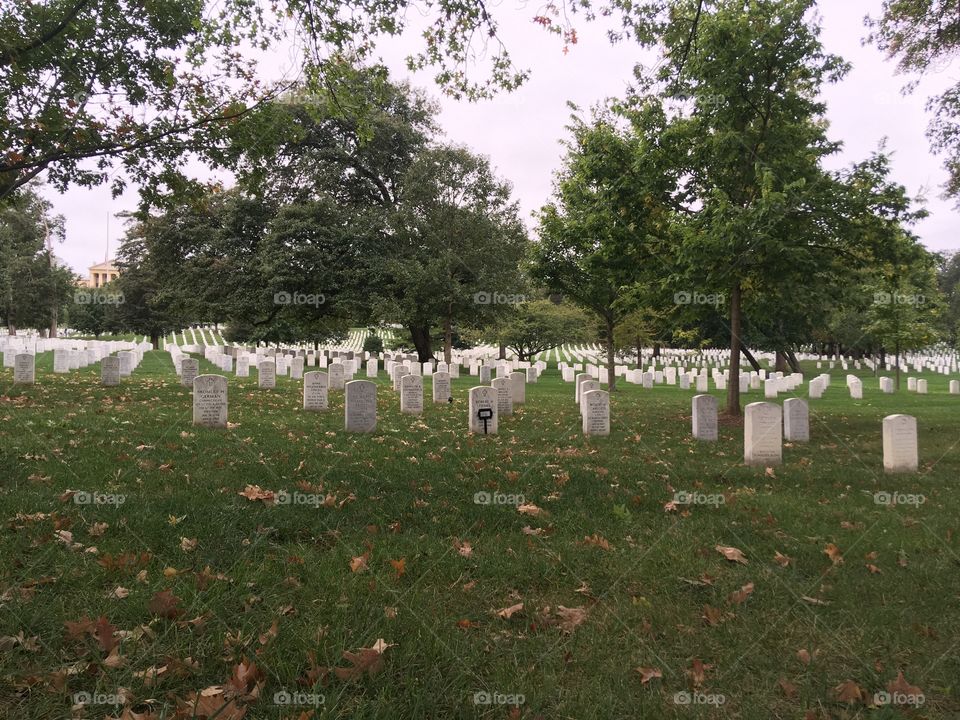 Cemetery in Arlington 
