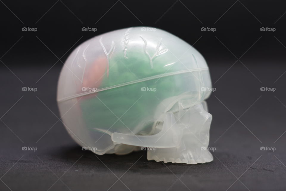Build your own brain, a plastic model of the human brain and skull.