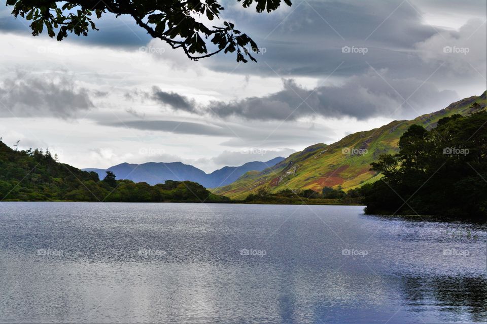 Idyllic view of lake