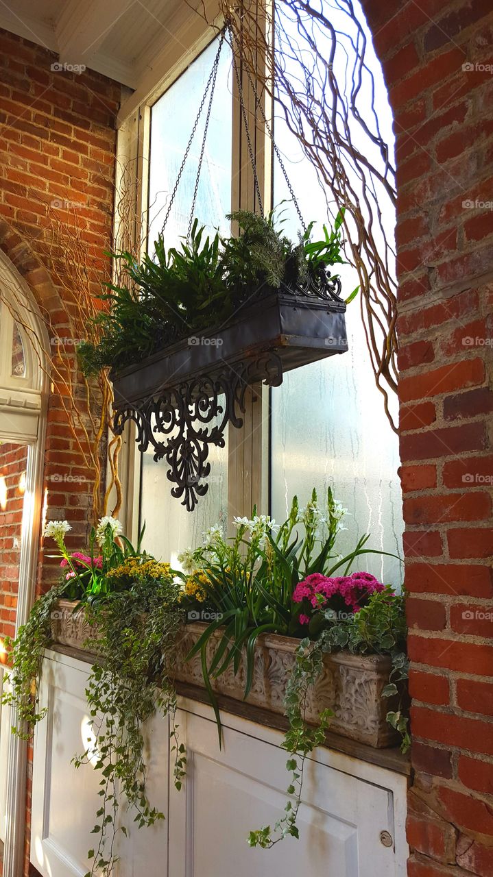 Indoor window boxes keep the lush floral summertime feel inside during the winter months.