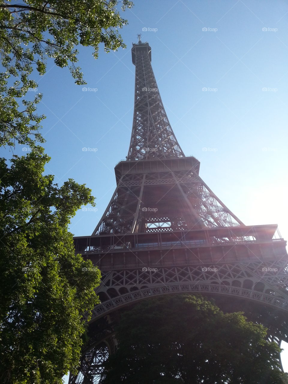 Tower in sunray. eiffel tower in june