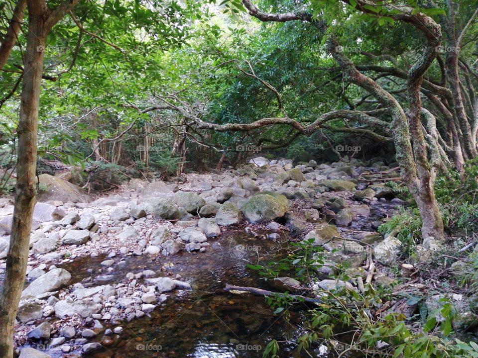 A rock bed of a water stream in Shing Mun Country Park, Hong Kong