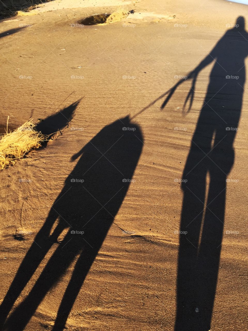 Beach, Shadow, Sand, No Person, People