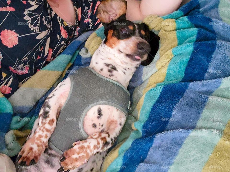 when your sleeping good