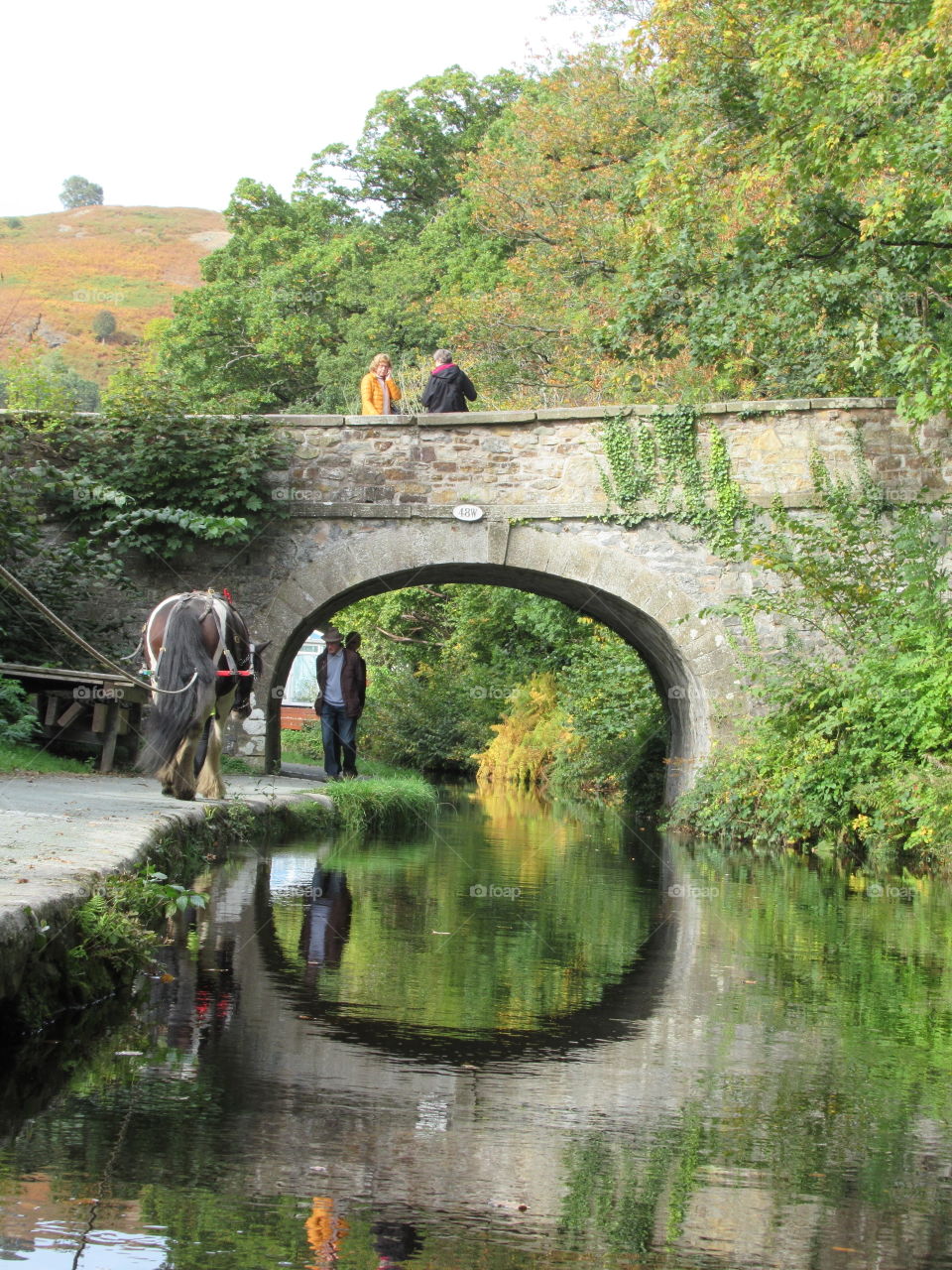 Llangollen canal